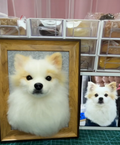 #04   Woolfelt 3D Dog Head/Face | MeetPet