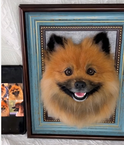 #04   Woolfelt 3D Dog Head/Face | MeetPet