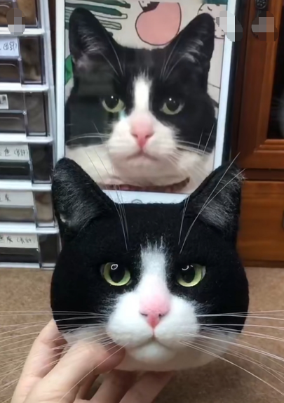 #01   Woolfelt 3D Cat Head (short hair) | MeetPet