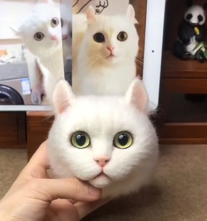 #01   Woolfelt 3D Cat Head (short hair) | MeetPet