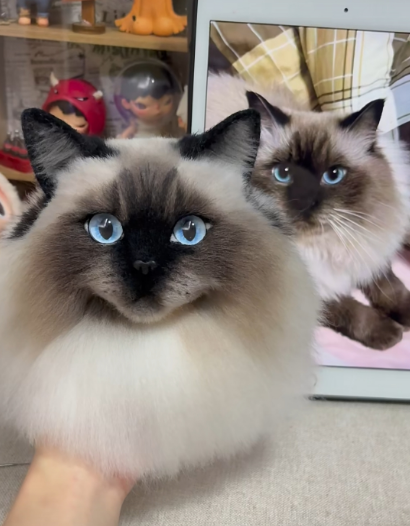 #03 Woolfelt 3D Cat Head (long hair multiple colors) | MeetPet