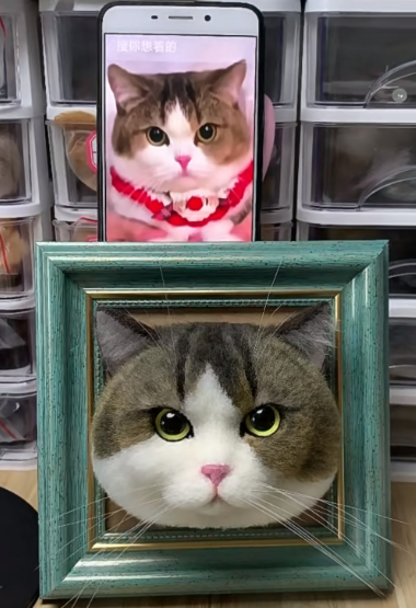 #01   Woolfelt 3D Cat Head (short hair) | MeetPet