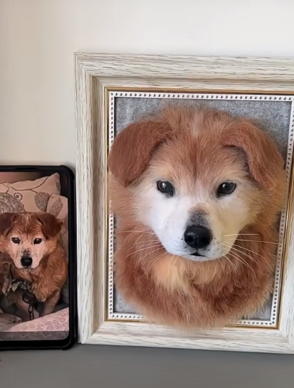 #04   Woolfelt 3D Dog Head/Face | MeetPet