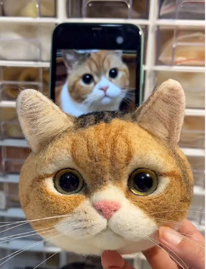 #01   Woolfelt 3D Cat Head (short hair) | MeetPet