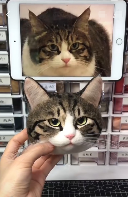 #01   Woolfelt 3D Cat Head (short hair) | MeetPet