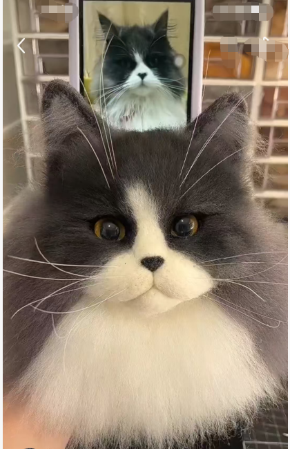 #02   Woolfelt 3D Cat Head (long hair, simple color) | MeetPet